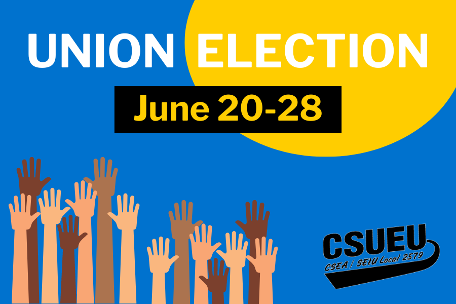 Union election June 20-28